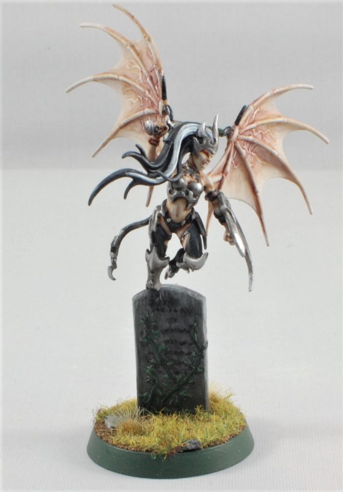 vampire with wings AOS, sigmar